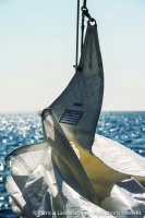 Dorade-Regates Royales 2014_Page_20