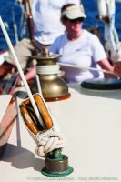 Dorade-Regates Royales 2014_Page_22