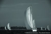 Dorade-Regates Royales 2014_Page_68