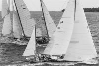 1959