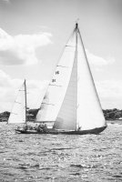 silken_2016-08-14-1463