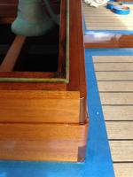 butterfly varnished
