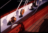 021_dorade_011
