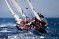 031_dorade_013