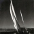 Dorade Sailing in the California Coast 1930s (8)