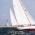 Dorade sailing in the Opera House Cup Regatta.