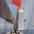 sailing-to-san-pedro
